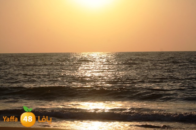 kora beach shabiba 623 (30).JPG